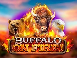 Buffalo On Fire game thumbnail